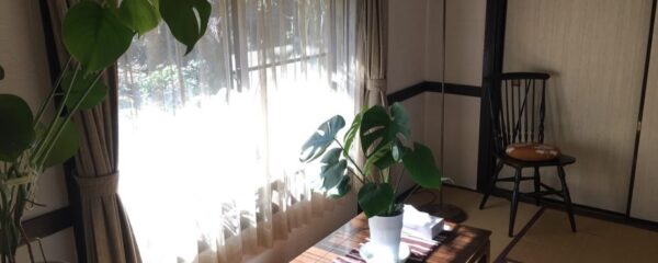 皆様の温かいご支援、本当に有難うございます。引き続き応援よろしくお願いいたします。