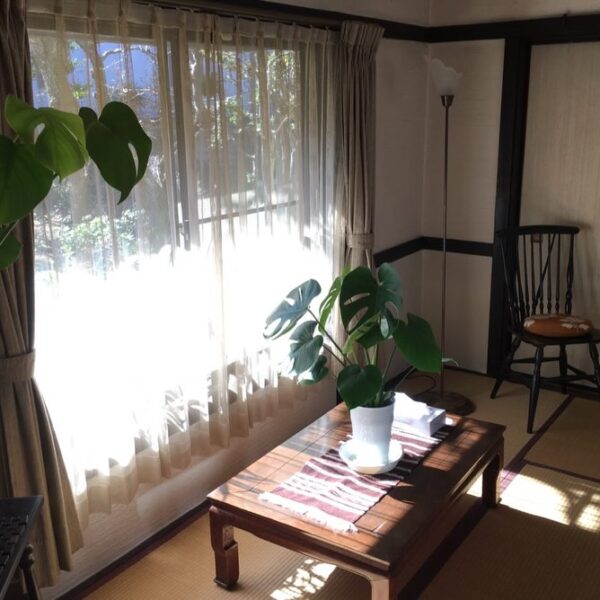 皆様の温かいご支援、本当に有難うございます。引き続き応援よろしくお願いいたします。