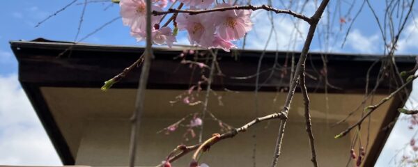 屋根修繕工事の日程が確定しました。