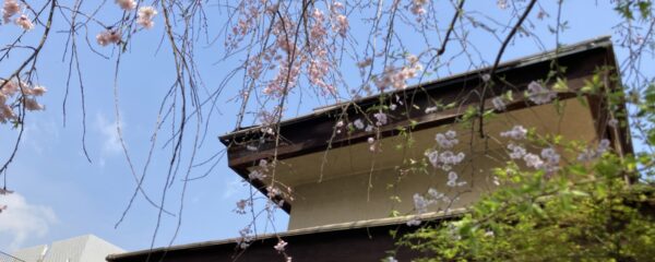 【御礼】セカンドゴールを達成致しました。